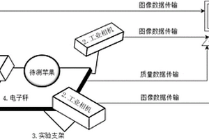 多目蘋果霉心病檢測裝置及方法