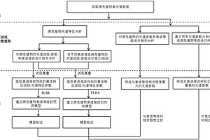 植物衰退等級(jí)的檢測(cè)方法