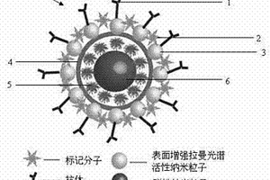 具有檢測(cè)和熱化療性能的多功能拉曼探針