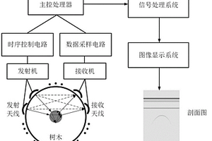 樹木內(nèi)部缺陷檢測(cè)數(shù)據(jù)的成像算法