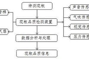 花椒品質(zhì)快速檢測(cè)方法、裝置和應(yīng)用