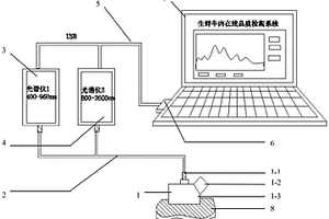 生鮮肉類多參數(shù)檢測的雙波段光譜融合方法及系統(tǒng)