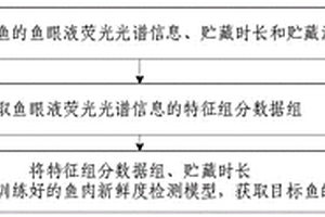 魚肉新鮮度檢測方法及系統(tǒng)