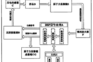 原子力聲學(xué)顯微鏡懸臂梁接觸諧振頻率檢測系統(tǒng)