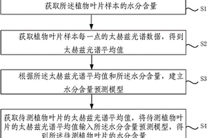 基于太赫茲波的植物葉片含水量檢測方法和系統(tǒng)