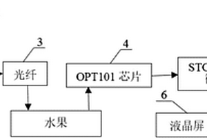 水果蟲害檢測裝置