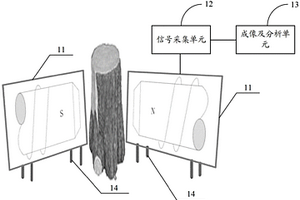 樹木年輪檢測分析系統(tǒng)