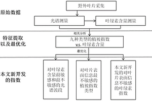 對(duì)葉表結(jié)構(gòu)不敏感的葉綠素含量的檢測(cè)方法