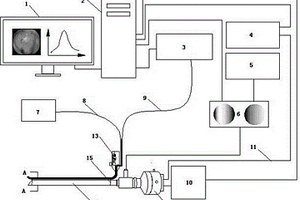 新型的內(nèi)窺光譜圖像與信號(hào)檢測(cè)裝置