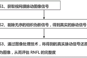 基于眼底脈動信號評估RNFL完整度的方法及檢測裝置