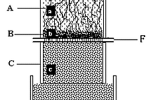 原位觀測(cè)植物根毛并評(píng)測(cè)其元素吸收作用的裝置和方法