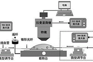 可同時實現(xiàn)單細胞靶向藥物遞送和實時探測的全光學方法