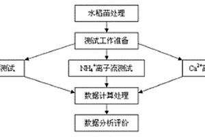 基于非損傷微測技術(shù)的水稻生理性青枯病評價方法