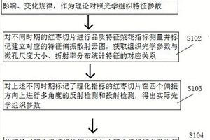 偏振散射測(cè)量紅棗組織光學(xué)參數(shù)的方法及裝置