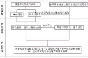 基于高光譜成像系統(tǒng)的茶樹(shù)干旱誘導(dǎo)成分及干旱程度評(píng)估的預(yù)測(cè)方法和系統(tǒng)