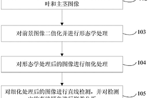 測(cè)量水稻劍葉角度的方法、裝置及系統(tǒng)