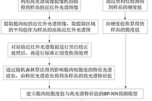 基于可見-近紅外高光譜技術(shù)的脆肉皖脆度預測方法