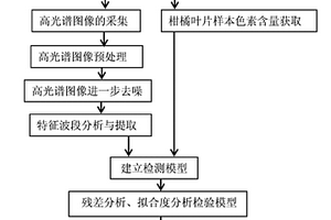 柑橘樹紅蜘蛛蟲害脅迫情況測試分析方法