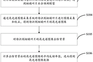 柑橘葉片含水量可視化預測方法、系統(tǒng)、設備及存儲介質(zhì)