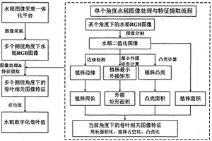 基于機器視覺的盆栽水稻卷葉程度測量方法