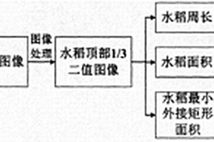 基于機器視覺的大田水稻卷葉程度測量方法