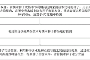 楠木種子水分含量的LF-NMR測定方法