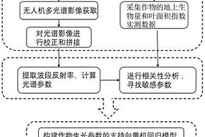 基于無人機(jī)多光譜遙感影像的作物生長參數(shù)測定方法及系統(tǒng)