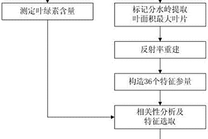 番茄葉綠素含量多光譜估測方法