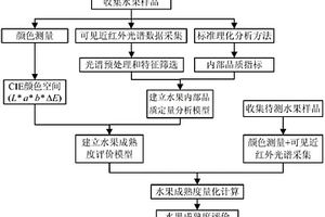 基于光譜和顏色測(cè)量的水果成熟度評(píng)價(jià)方法