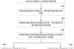 原位觀測根系生長動態(tài)和土壤孔隙結(jié)構(gòu)演變的方法及裝置