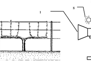 基于機(jī)器視覺的葡萄新梢生長速率測量系統(tǒng)