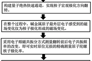 基于絕熱快速通道的原子自旋陀螺儀測量核子極化率方法