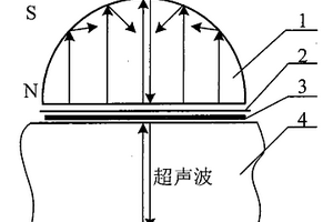 可降低磁鐵回波的電磁超聲換能器