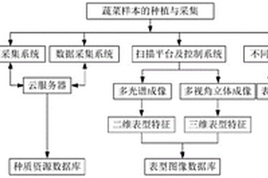 蔬菜數(shù)字化育種方法