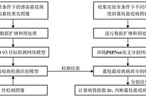 基于圖像識(shí)別的荔枝霜疫病自動(dòng)識(shí)別方法、系統(tǒng)和存儲(chǔ)介質(zhì)