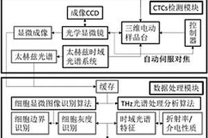 基于太赫茲光譜的循環(huán)腫瘤細胞篩查系統(tǒng)及方法