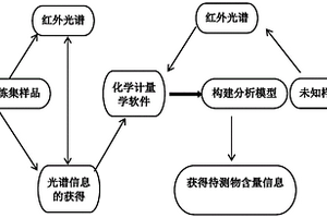 利用紅外光譜定量分析乳鐵蛋白含量的方法