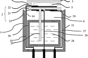 氫氣傳感器