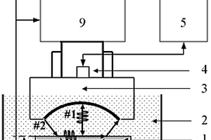 各向異性材料表面波非接觸式波速提取的方法