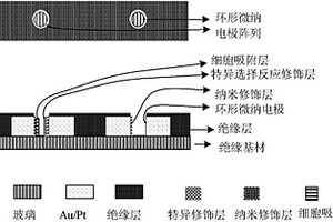 微納陣列傳感器及其制備方法