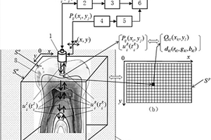 用于牙體的聲顯微成像方法