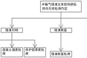 輸氣隧道主體結構缺陷損傷無損檢測評價方法