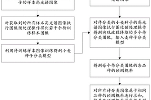 基于數(shù)據(jù)增強與注意力機制的小麥種子分類方法