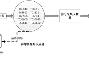 基于風味分析的馬鈴薯全粉快速鑒別方法