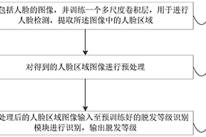 脫發(fā)等級識別方法和系統(tǒng)