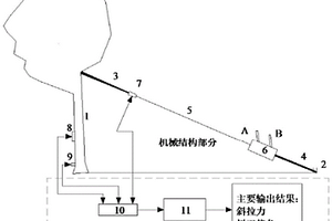 樹木抓地力的無損檢測(cè)裝置與檢測(cè)方法