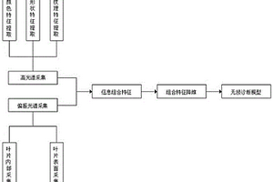 偏振高光譜圖像采集系統(tǒng)