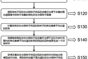 基于高光譜的單粒雜交水稻種子種類鑒定方法