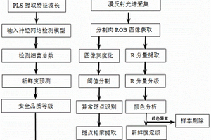 基于圖譜融合技術的羊肉安全品質(zhì)在線快速無損檢測生產(chǎn)線