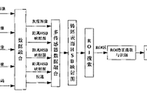 高溫連鑄坯表面缺陷形態(tài)及深度在線無損檢測(cè)方法